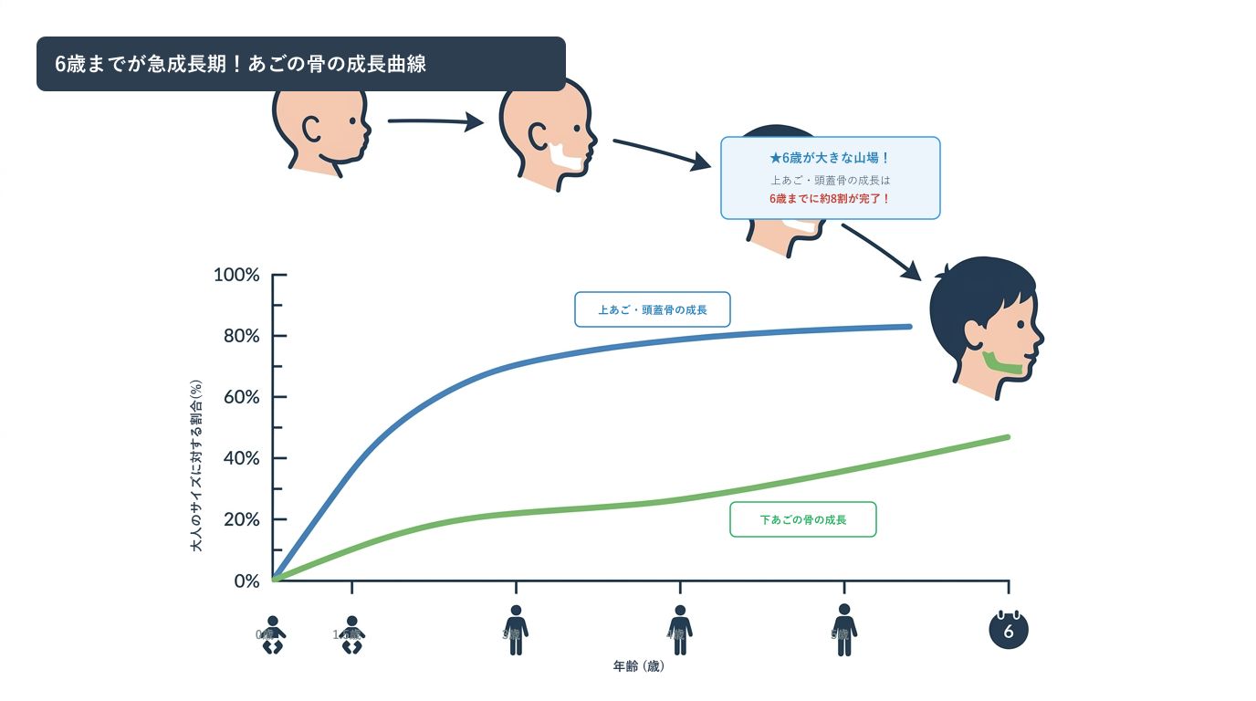 6歳までが勝負!頭蓋骨の成長曲線から紐解く「あごを育てる」食事の秘密